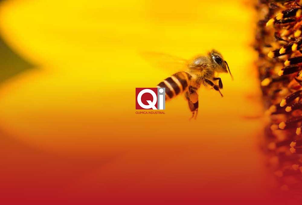 Cera de abejas